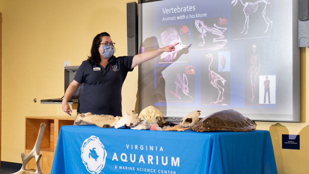 Aquarium employee teaches audience about vertebrates.