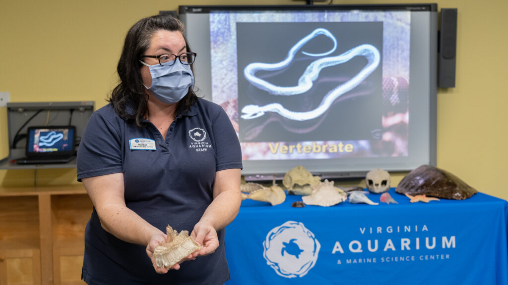 Aquarium employee shows off marine life.