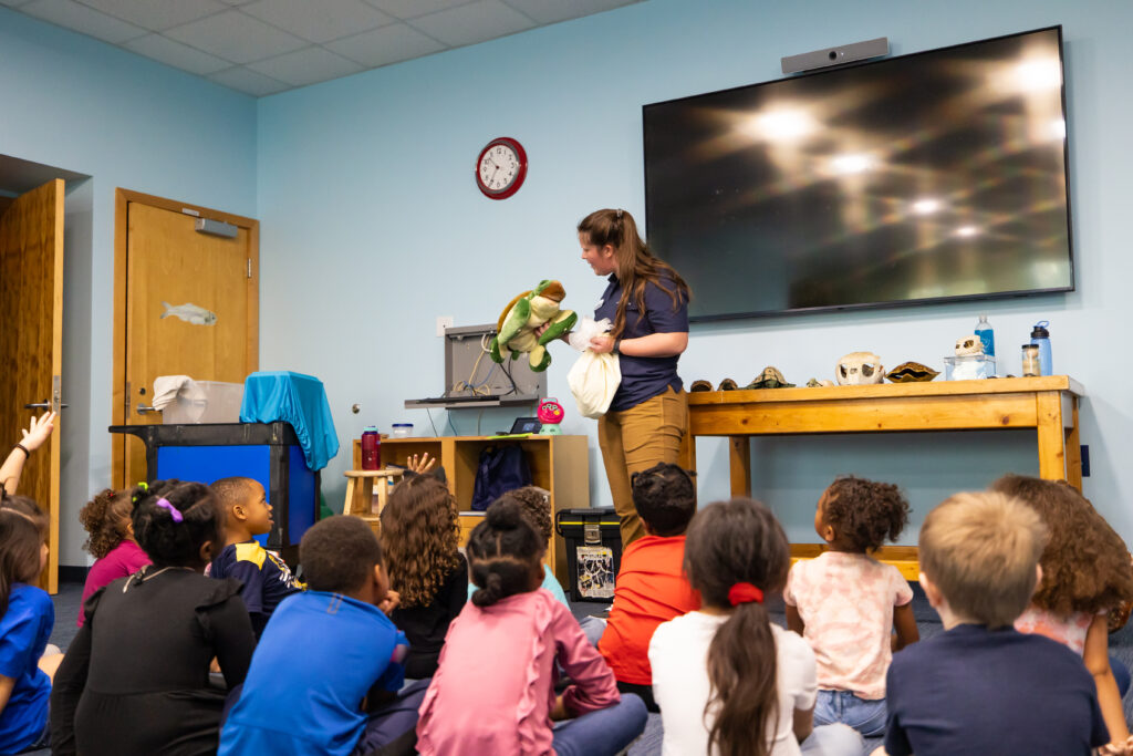 Turtle Puppet Presentation about Turtle Diets