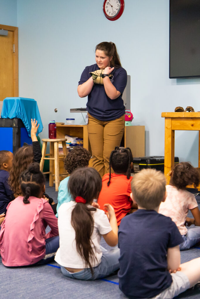 Turtle presentation about going into their shell